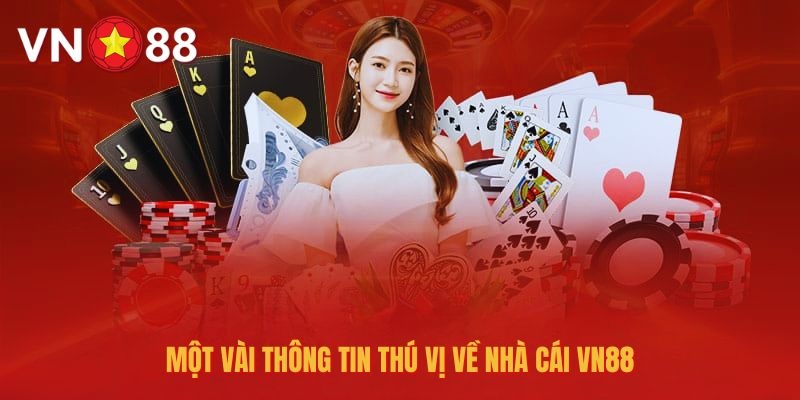 Tổng quan giới thiệu VN88 được đánh giá cao về chất lượng